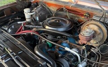 Chevrolet-Other-Pickups-1977-Pick-up-22