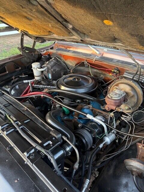 Chevrolet-Other-Pickups-1977-Pick-up-22