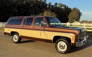 Chevrolet-Other-Pickups-1977-Pick-up-3