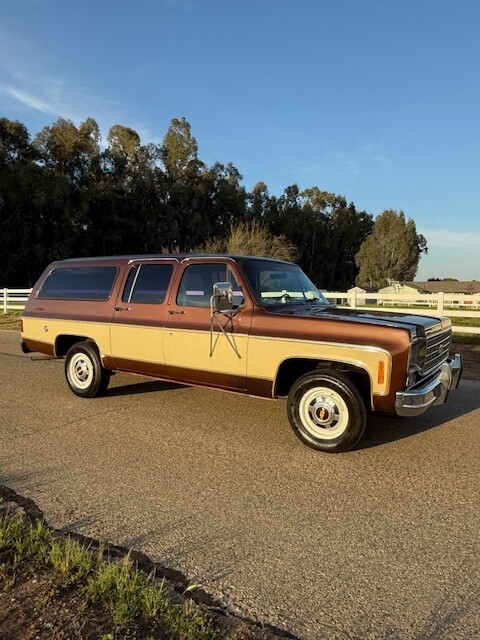 Chevrolet-Other-Pickups-1977-Pick-up-3