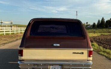 Chevrolet-Other-Pickups-1977-Pick-up-4