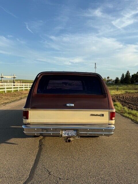 Chevrolet-Other-Pickups-1977-Pick-up-4