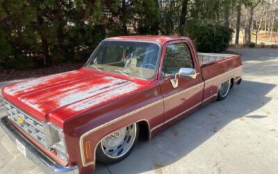 Chevrolet Other Pickups 1977
