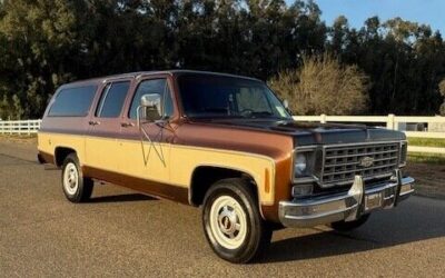 Chevrolet Other Pickups 1977