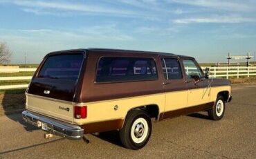 Chevrolet-Other-Pickups-1977-Pick-up-5