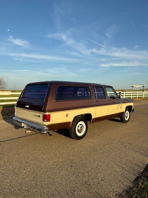 Chevrolet-Other-Pickups-1977-Pick-up-5