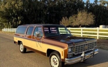 Chevrolet-Other-Pickups-1977-Pick-up-6