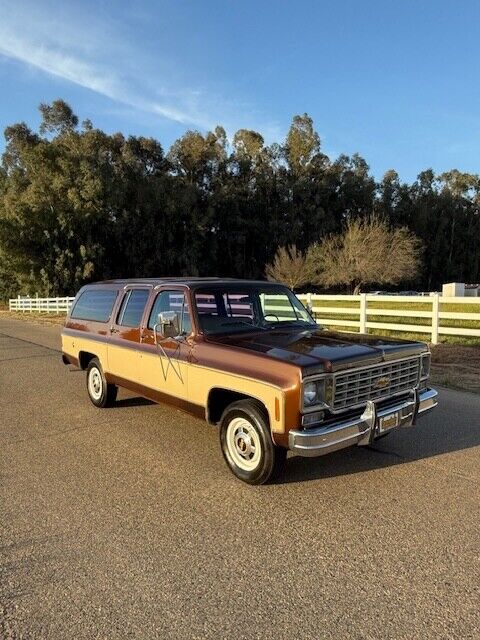 Chevrolet-Other-Pickups-1977-Pick-up-6