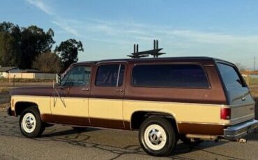 Chevrolet-Other-Pickups-1977-Pick-up-7