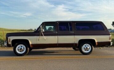 Chevrolet-Other-Pickups-1977-Pick-up-9