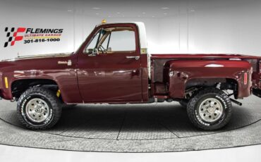 Chevrolet-Other-Pickups-1978-Pickup-Truck-1