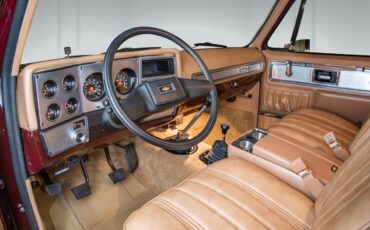 Chevrolet-Other-Pickups-1978-Pickup-Truck-13