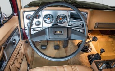 Chevrolet-Other-Pickups-1978-Pickup-Truck-14
