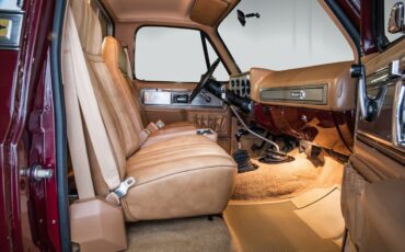 Chevrolet-Other-Pickups-1978-Pickup-Truck-17
