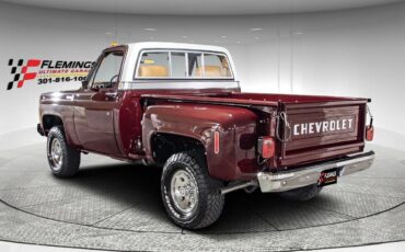 Chevrolet-Other-Pickups-1978-Pickup-Truck-2