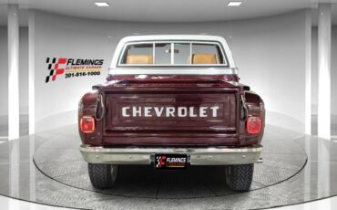 Chevrolet-Other-Pickups-1978-Pickup-Truck-3
