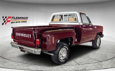 Chevrolet-Other-Pickups-1978-Pickup-Truck-4