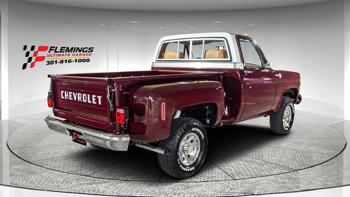 Chevrolet-Other-Pickups-1978-Pickup-Truck-4