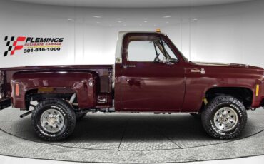 Chevrolet-Other-Pickups-1978-Pickup-Truck-5