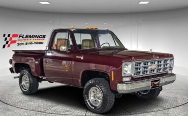Chevrolet-Other-Pickups-1978-Pickup-Truck-6