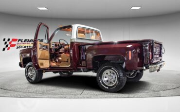 Chevrolet-Other-Pickups-1978-Pickup-Truck-9