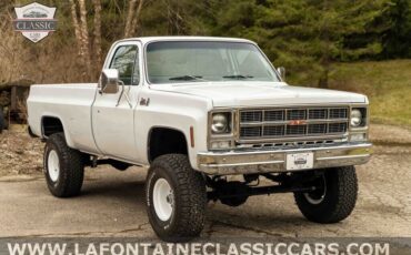 Chevrolet-Other-Pickups-1979