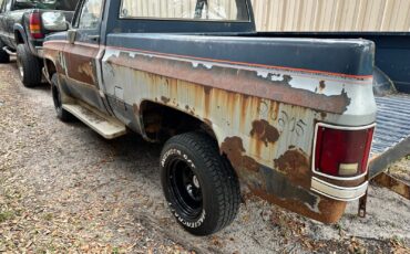 Chevrolet-Other-Pickups-1983-Pickup-Truck-2