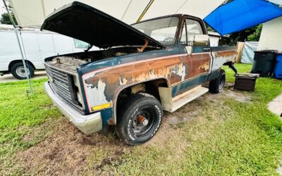 Chevrolet Other Pickups 1983
