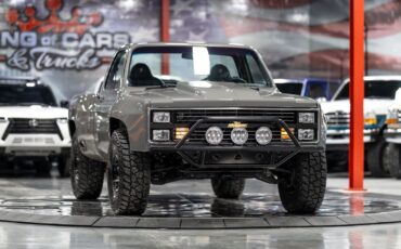 Chevrolet-Other-Pickups-1984-Pickup-Truck-1