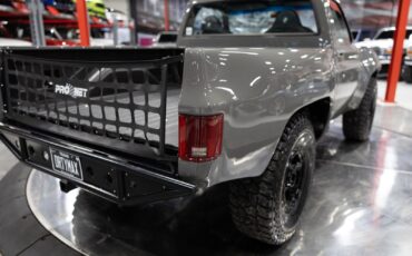 Chevrolet-Other-Pickups-1984-Pickup-Truck-15