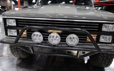Chevrolet-Other-Pickups-1984-Pickup-Truck-19