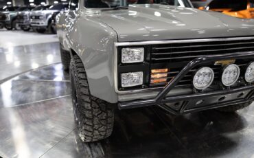 Chevrolet-Other-Pickups-1984-Pickup-Truck-20