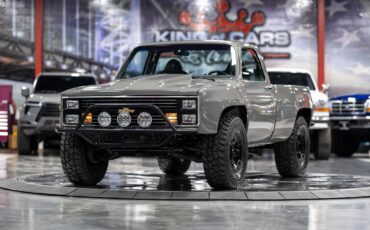Chevrolet-Other-Pickups-1984-Pickup-Truck-3