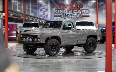Chevrolet-Other-Pickups-1984-Pickup-Truck-4