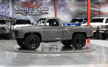 Chevrolet-Other-Pickups-1984-Pickup-Truck-5