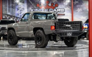 Chevrolet-Other-Pickups-1984-Pickup-Truck-6