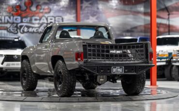 Chevrolet-Other-Pickups-1984-Pickup-Truck-7