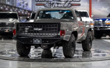 Chevrolet-Other-Pickups-1984-Pickup-Truck-9