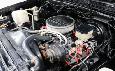 Chevrolet-Other-Pickups-1985-Pickup-Truck-10