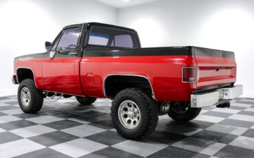 Chevrolet-Other-Pickups-1985-Pickup-Truck-4