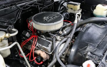 Chevrolet-Other-Pickups-1985-Pickup-Truck-8