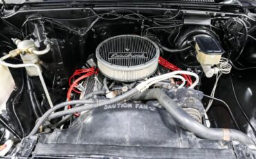 Chevrolet-Other-Pickups-1985-Pickup-Truck-9