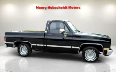 Chevrolet-Other-Pickups-1987-Truck-1