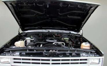 Chevrolet-Other-Pickups-1987-Truck-11