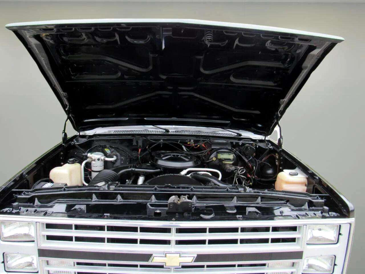 Chevrolet-Other-Pickups-1987-Truck-11