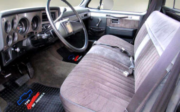 Chevrolet-Other-Pickups-1987-Truck-15