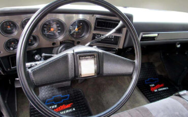 Chevrolet-Other-Pickups-1987-Truck-16