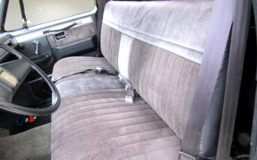 Chevrolet-Other-Pickups-1987-Truck-18