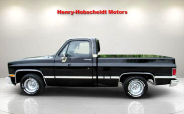 Chevrolet-Other-Pickups-1987-Truck-2