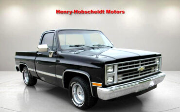 Chevrolet-Other-Pickups-1987-Truck-3